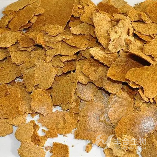 玉米胚芽饼