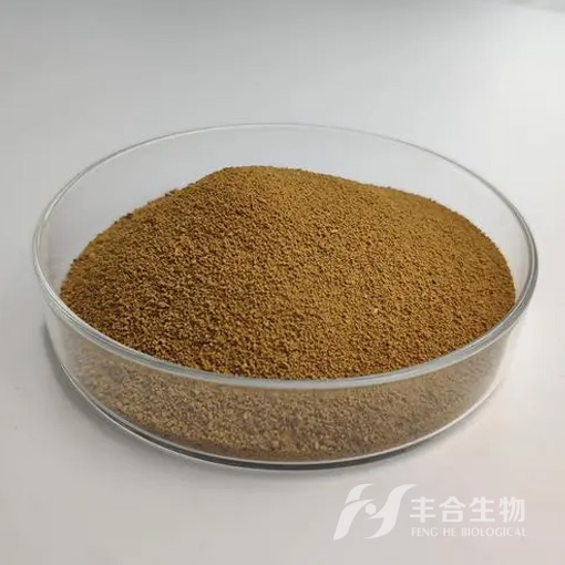 赖氨酸